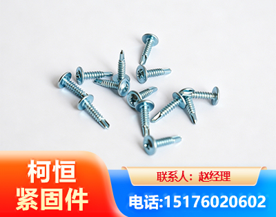 广元华司钻尾丝