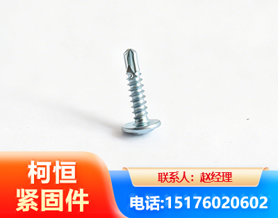 广元华司钻尾丝